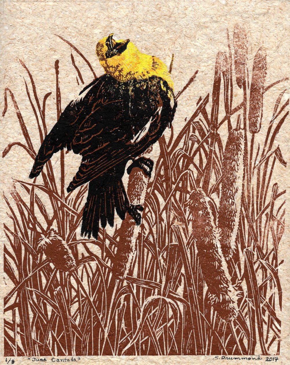 Cattail Cantata, 2017 (Linoleikkaus) tekijältä Sarah Drummond