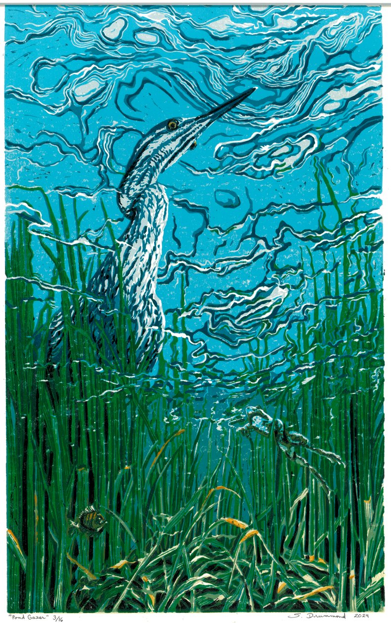 Pond Gazer, 2024 (Linoleikkaus) tekijältä Sarah Drummond