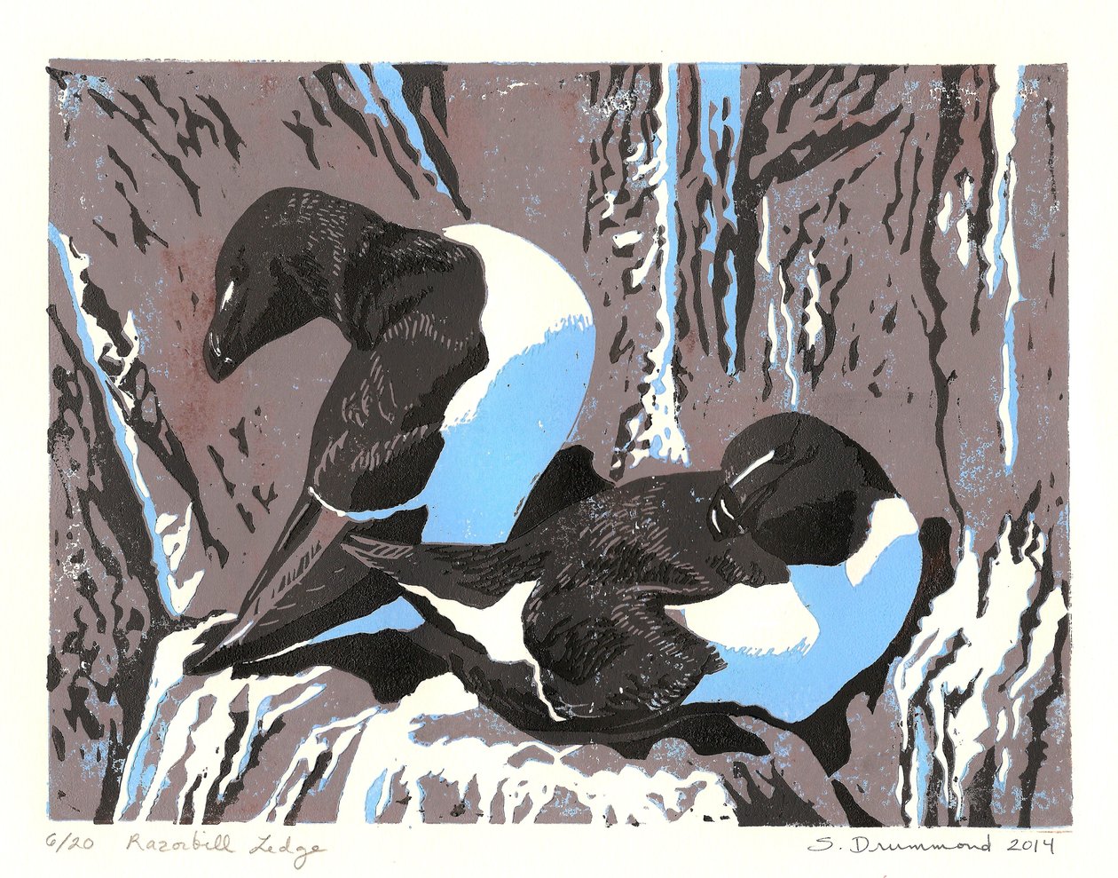 Razorbill Ledge, 2014 (Linoleikkaus) tekijältä Sarah Drummond