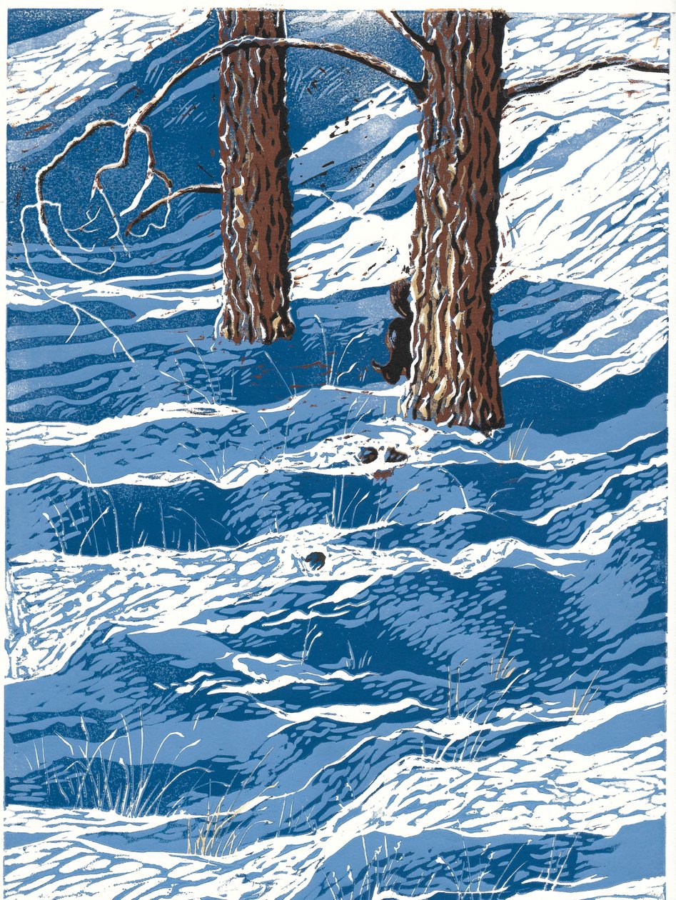 Keväinen lumisade, 2016 (Linoleikkaus) tekijältä Sarah Drummond