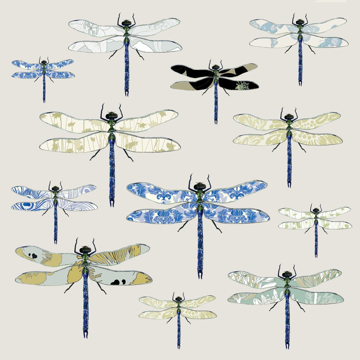 Odonata, 2008 (digitaalinen) tekijältä Sarah Hough