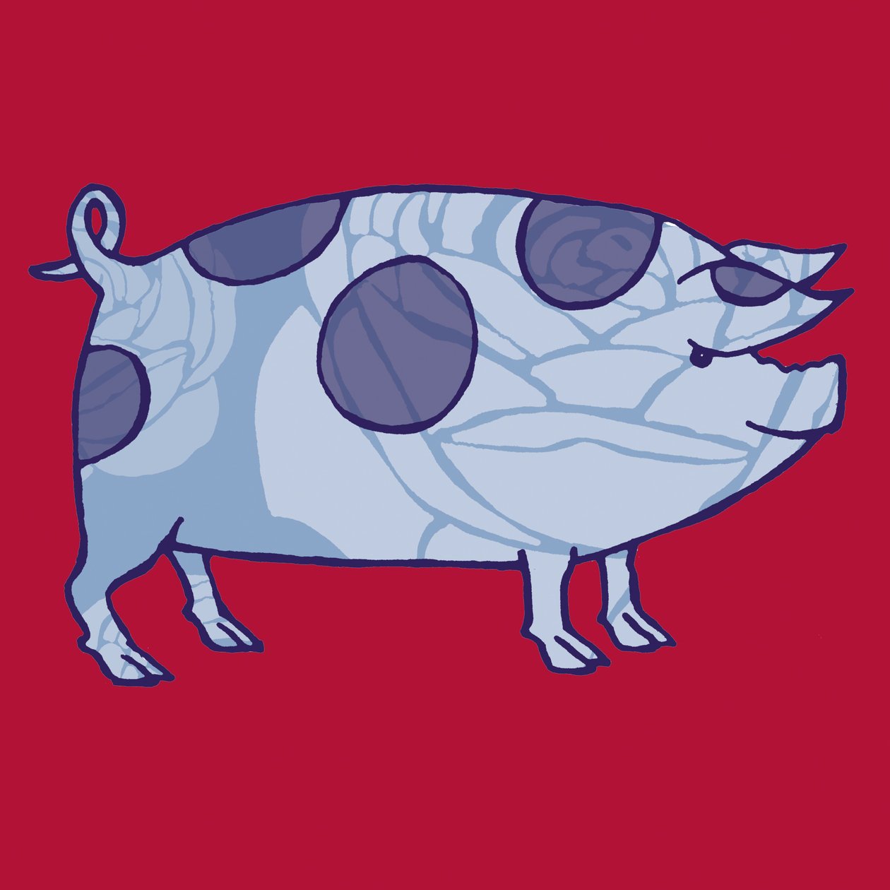 Piddle Valley Pig, 2005 (digitaalinen) tekijältä Sarah Hough
