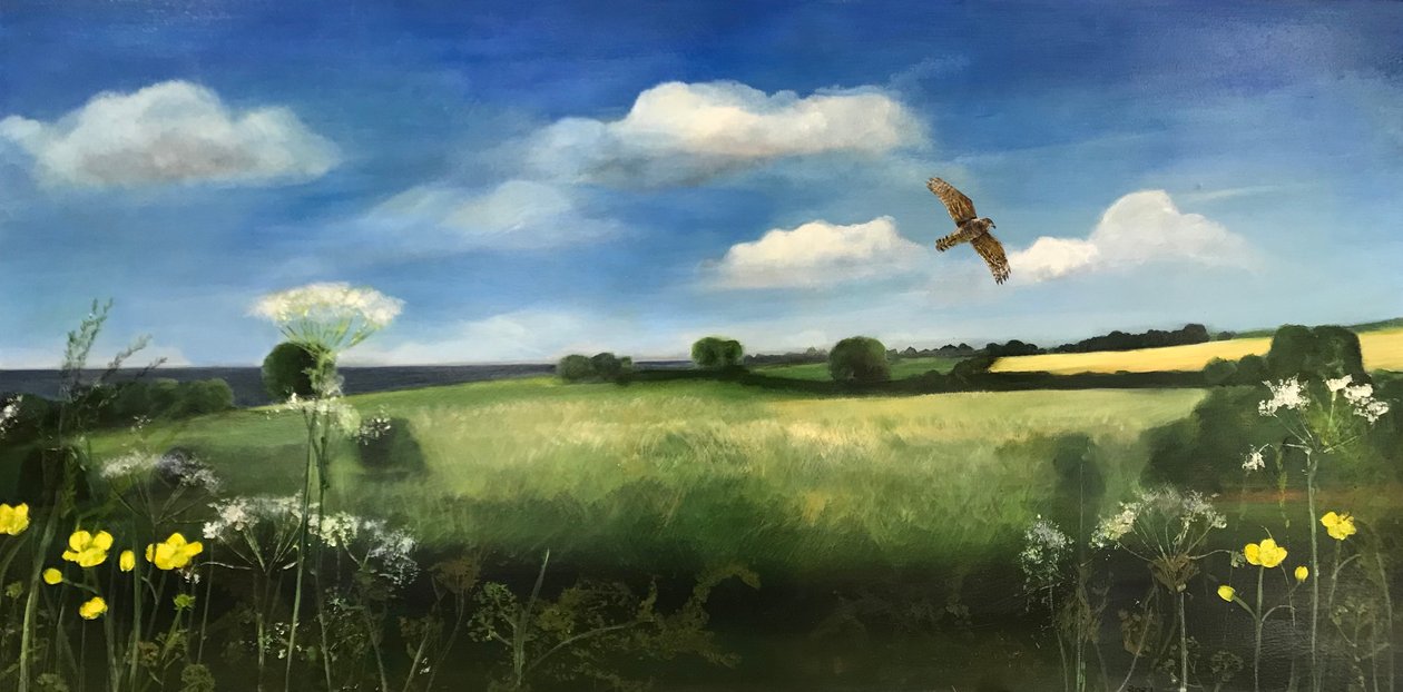 Buzzard, 2022 (öljy aluksella) tekijältä Sarah Thompson Engels