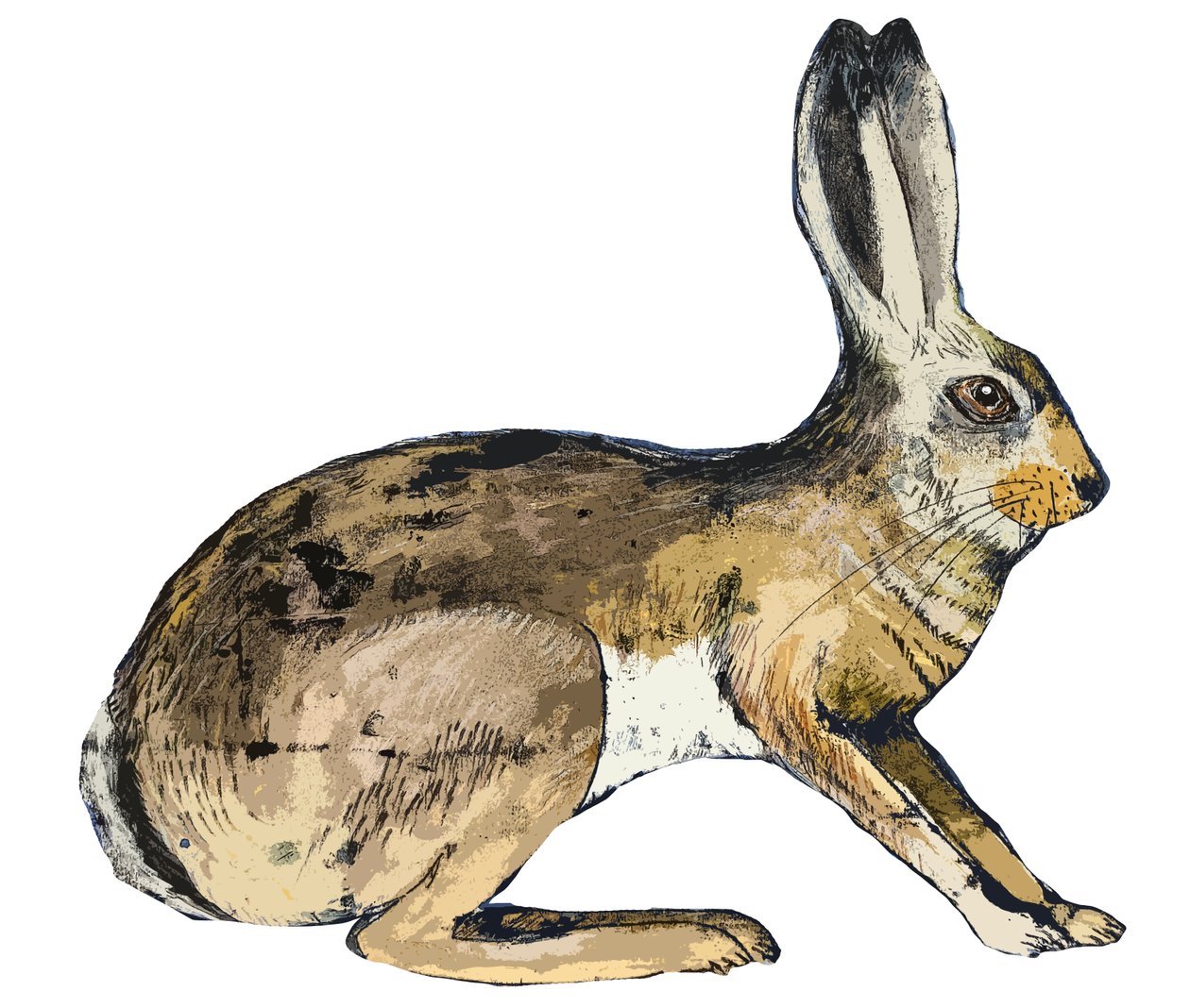 Hare, 2024 (monoprintti) tekijältä Sarah Thompson Engels