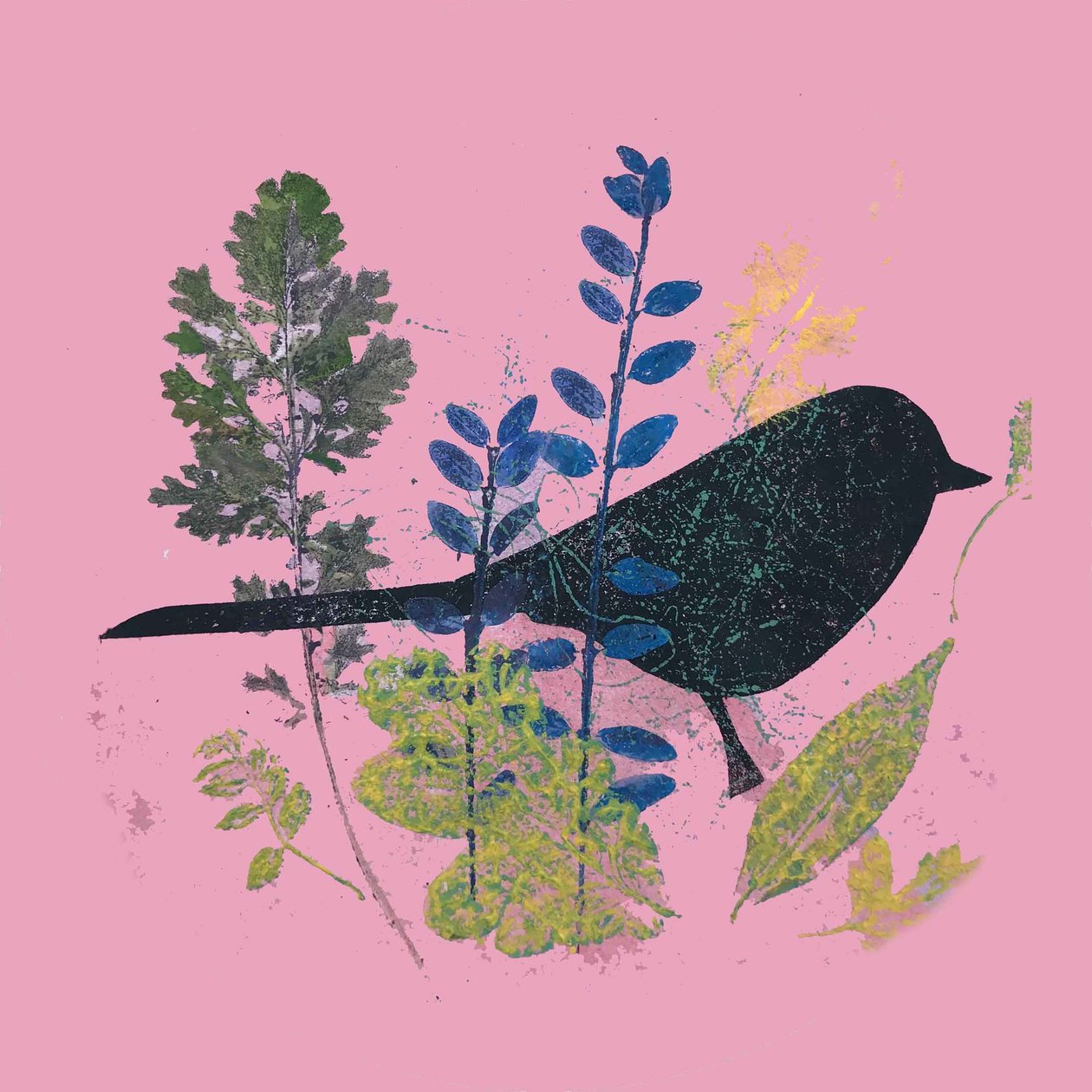 Lintu ja lehdet, 2019 (muste monoprint) tekijältä Sarah Thompson Engels