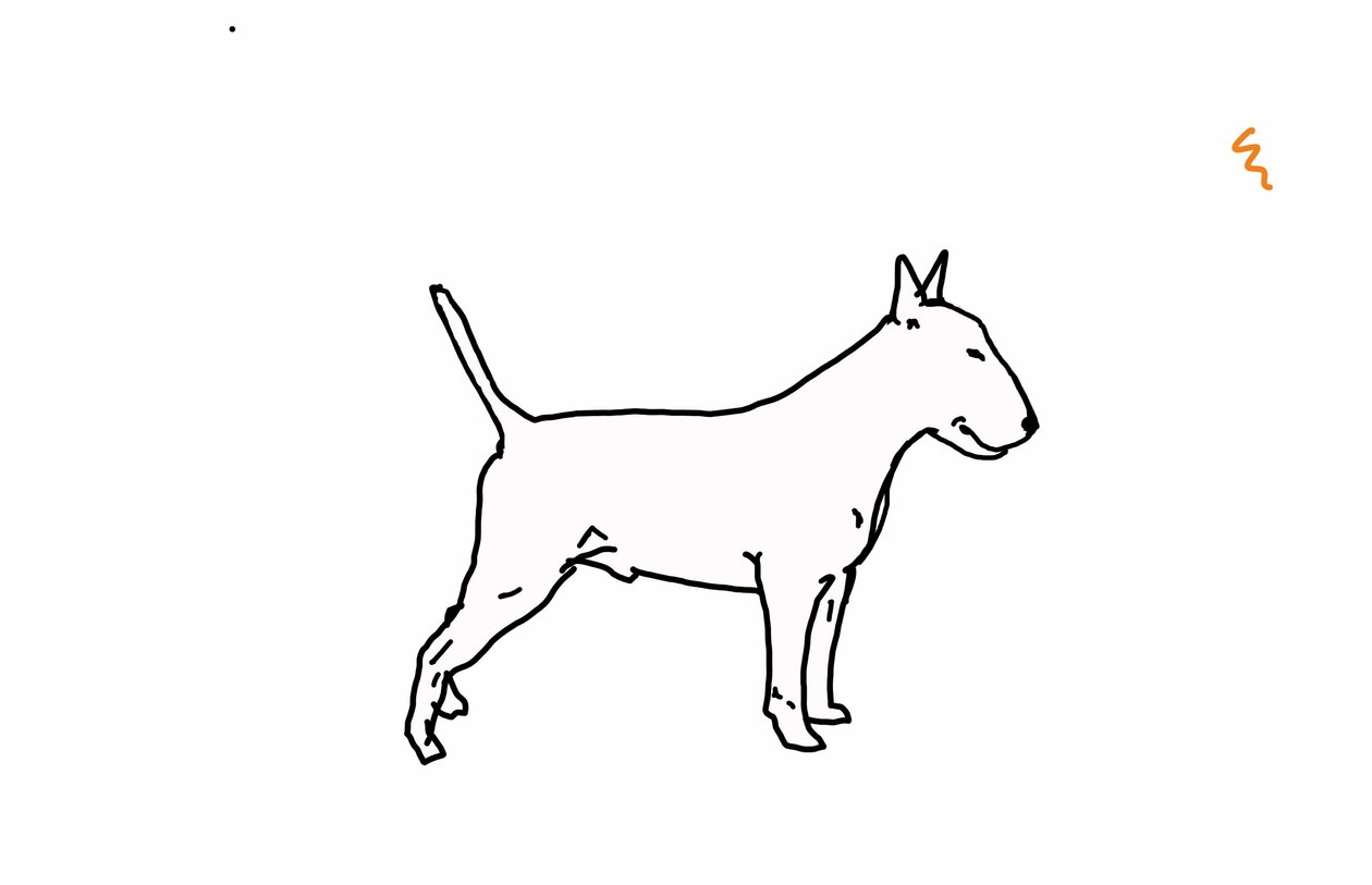 Bullterrieri, 2018, (digitaalinen piirustus) tekijältä Sarah Thompson Engels
