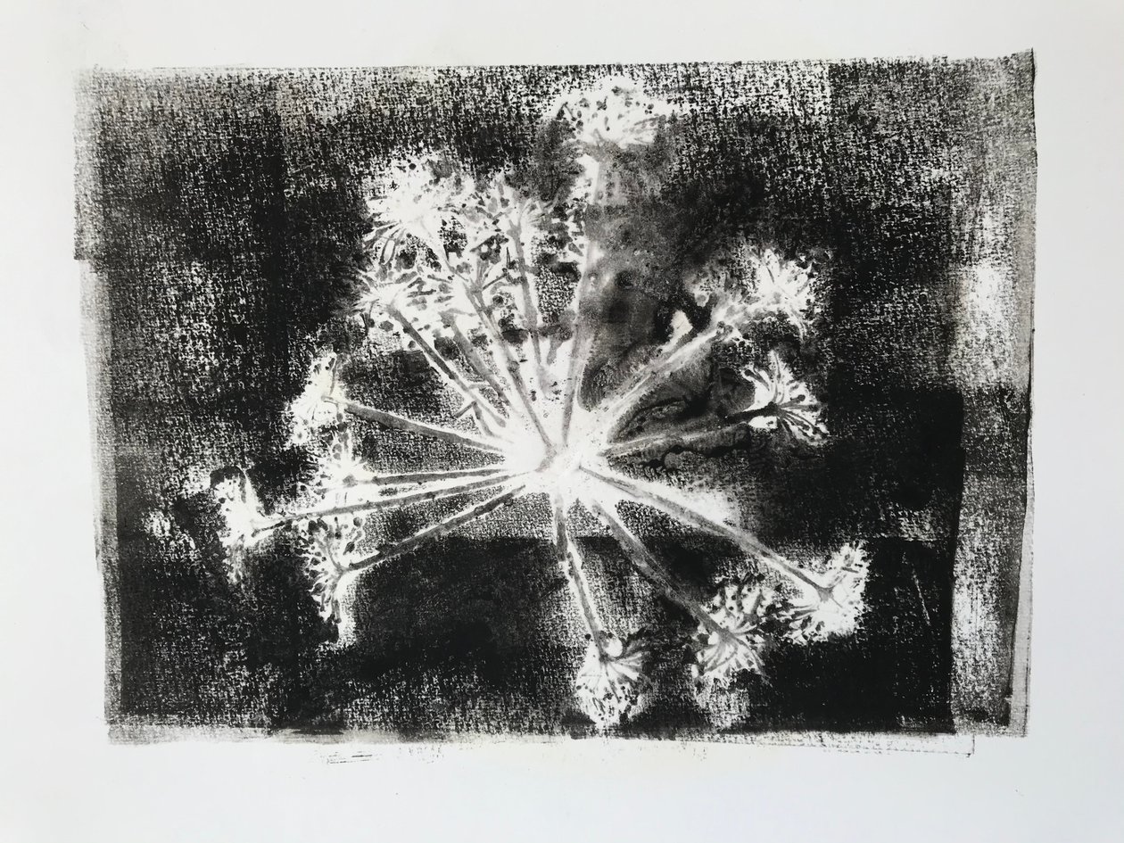 Sidhel E, 2020, (Monoprint) tekijältä Sarah Thompson Engels