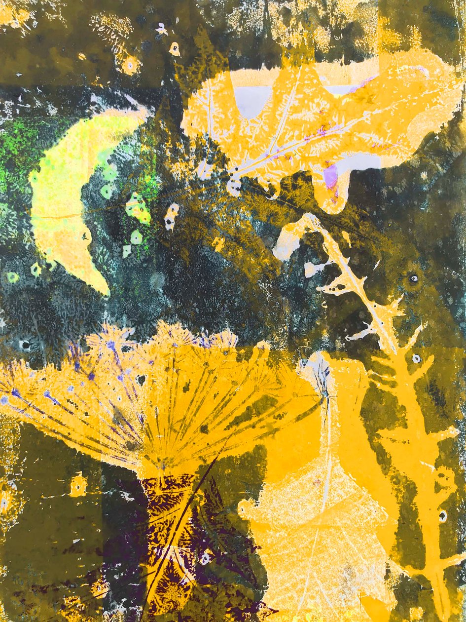 "keltainen kuu" 2019 (monoprintti) tekijältä Sarah Thompson Engels