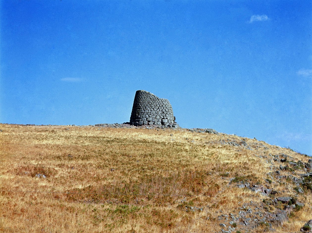 Nuraginen kulttuuri (nuraghi) Sardinia: Nuragic-kaupungin rauniot Macomerin megaliittisella paikalla: yksi nuragian torneista. Macomer, Sardinia, Italia tekijältä Sardinia Nuragic Civilization