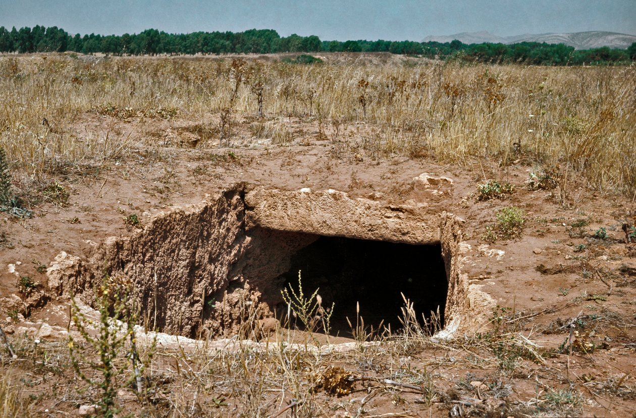 Nuraginen kulttuuri (nuraghi) Sardinia: Nuragista edeltävän kaupungin rauniot Anghelu Rujun megaliittialueella: keskustorni. 20. vuosisadalla eaa. Alghero, Sardinia Italia tekijältä Sardinia Nuragic Civilization
