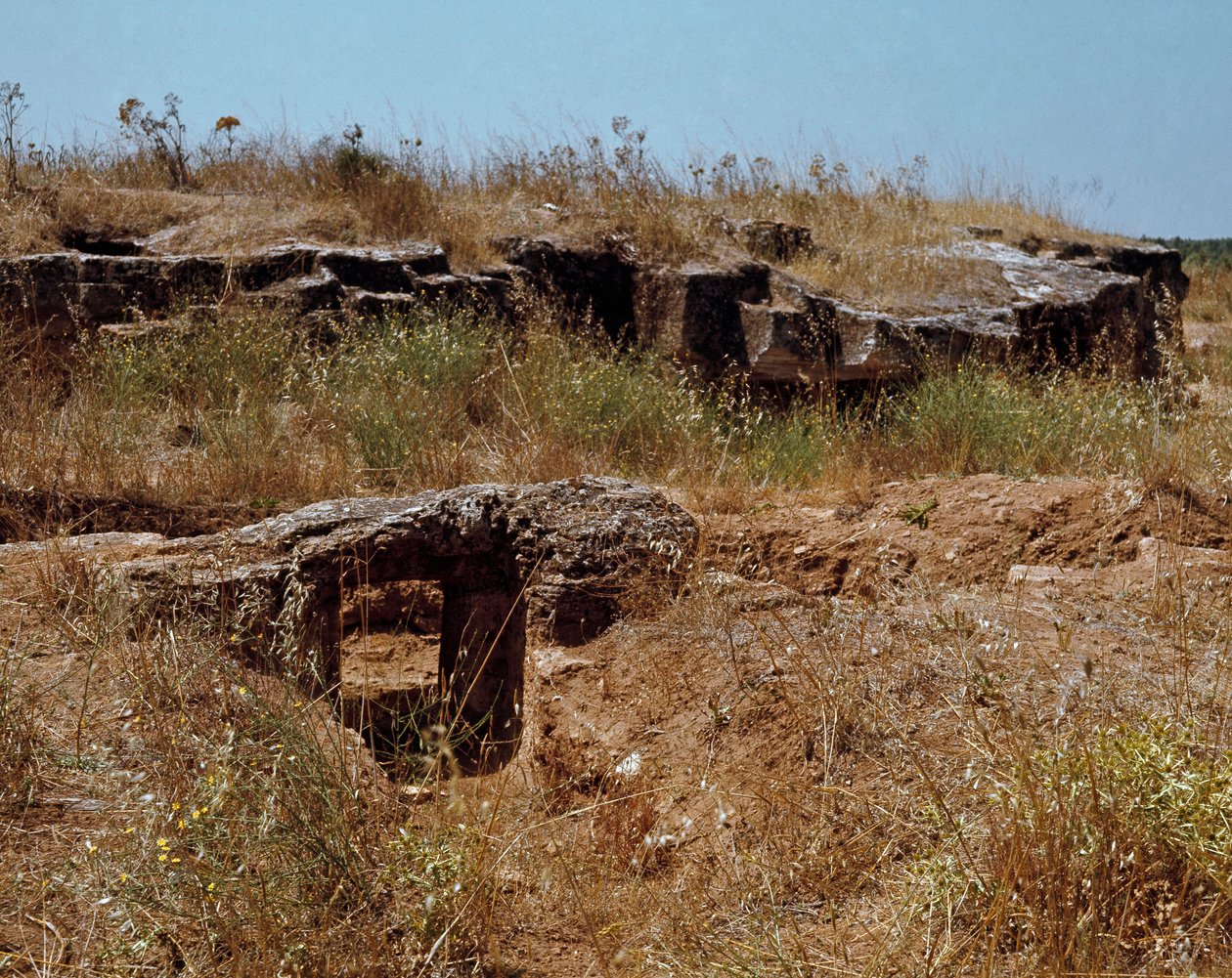 Nuraginen kulttuuri (nuraghi) Sardinia: Nuragista edeltävän kaupungin rauniot Anghelu Rujun megaliittialueella: keskustorni. 20. vuosisadalla eaa. Alghero, Sardinia Italia tekijältä Sardinia Nuragic Civilization