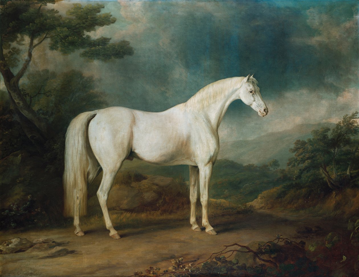Valkoinen hevonen metsäisessä maisemassa, 1791 tekijältä Sawrey Gilpin