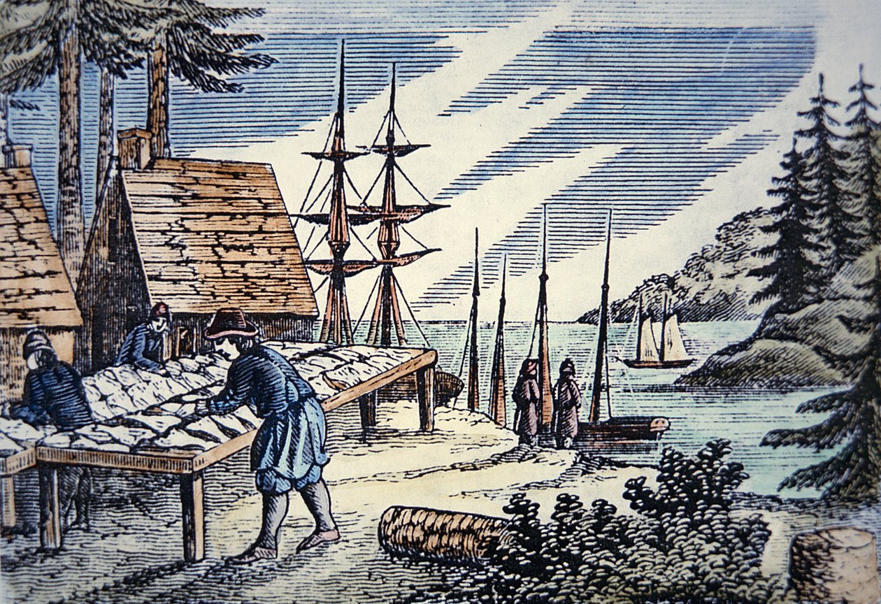 Kalastajat kuivaamassa turskaa Uudessa Englannissa, 1600-luvun puupiirroksesta (värilitho) tekijältä School American