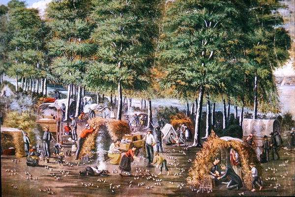Viiriäisen ihme (väri litho) tekijältä School American