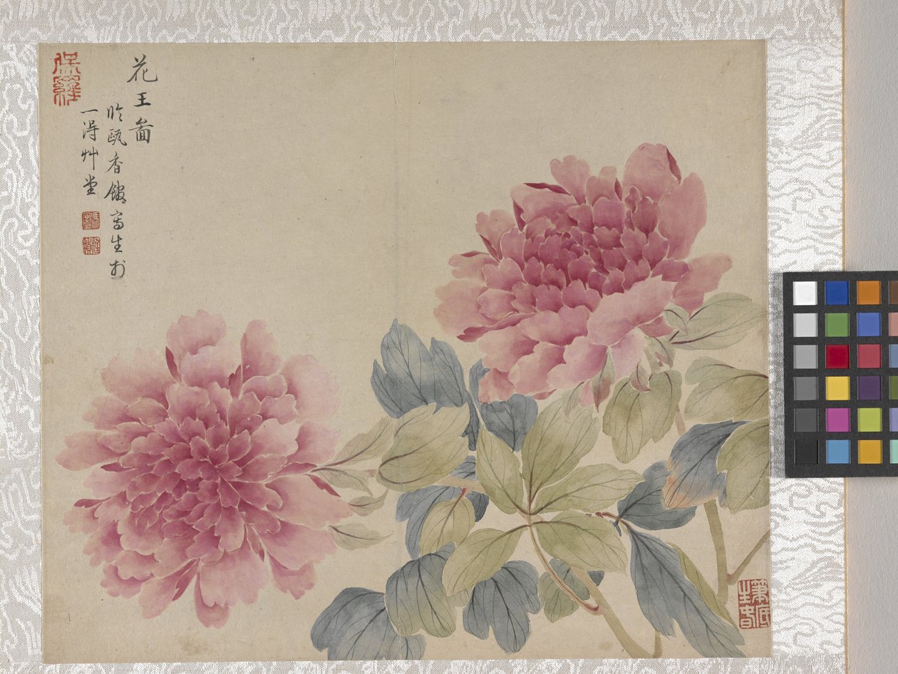 8-lehtinen kukka-albumi, 1700-luvun puoliväli (muste ja väri paperille). tekijältä School Chinese