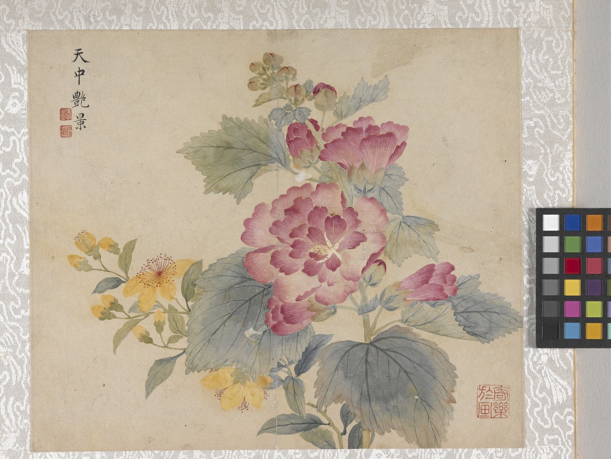8-lehtinen kukka-albumi, 1700-luvun puoliväli (muste ja väri paperille). tekijältä School Chinese