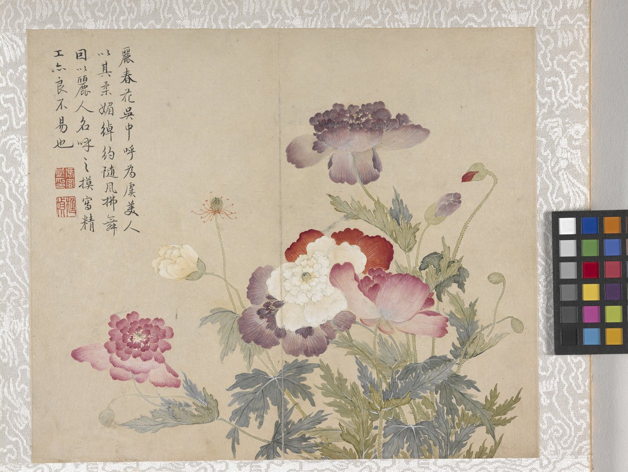 8-lehtinen kukka-albumi, 1700-luvun puoliväli (muste ja väri paperille). tekijältä School Chinese