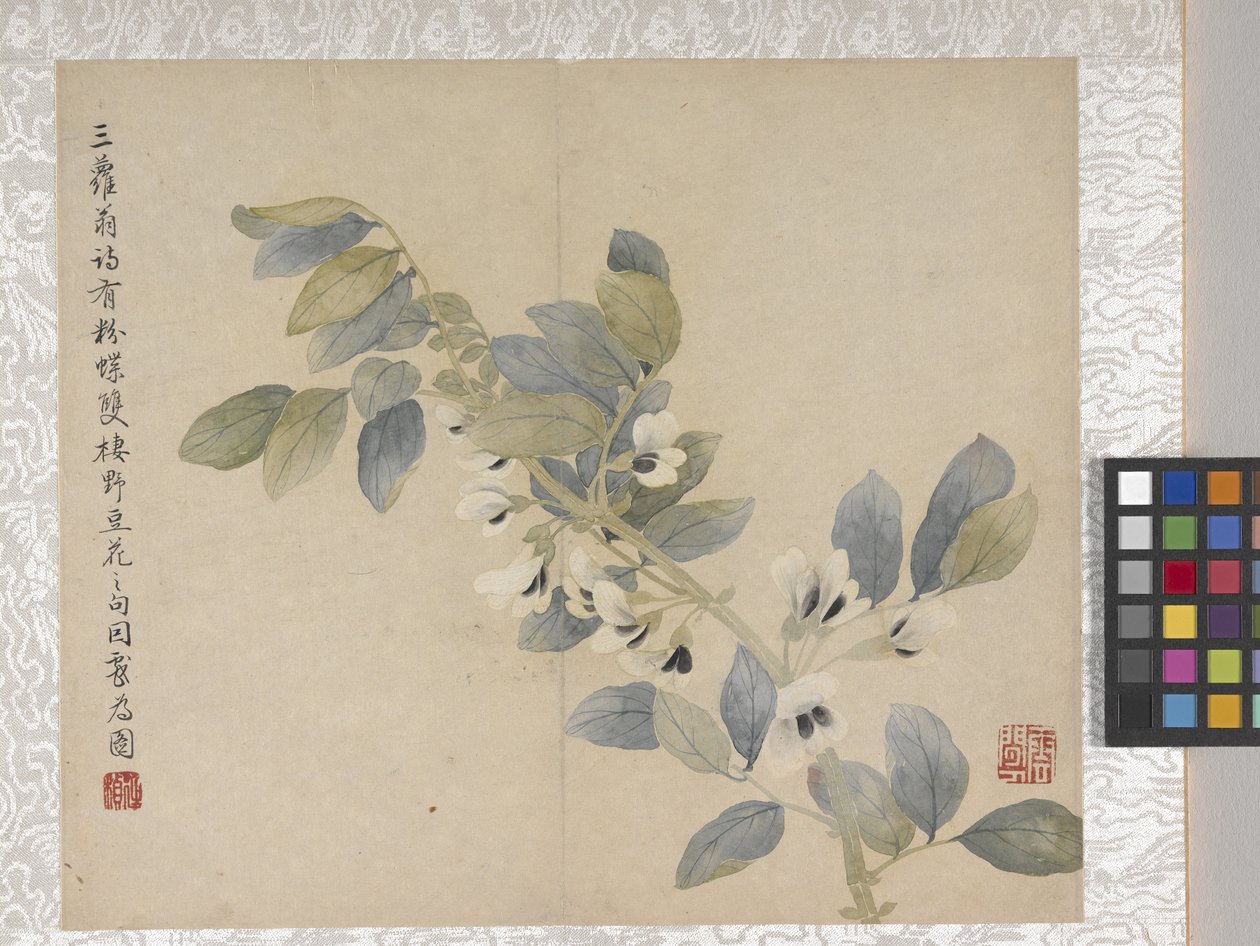 8-lehtinen kukka-albumi, 1700-luvun puoliväli (muste ja väri paperille). tekijältä School Chinese