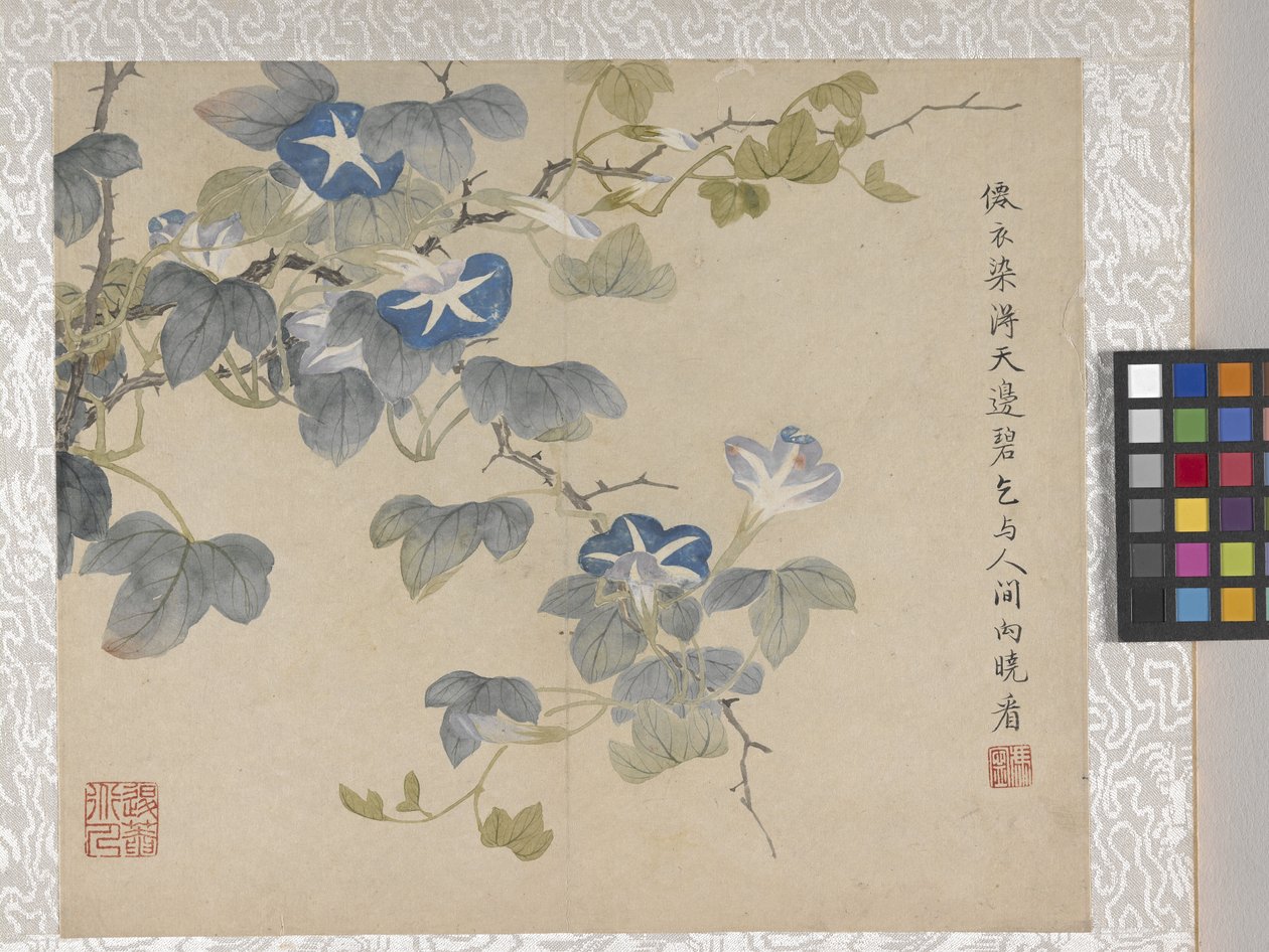 8-lehtinen kukka-albumi, 1700-luvun puoliväli (muste ja väri paperille). tekijältä School Chinese