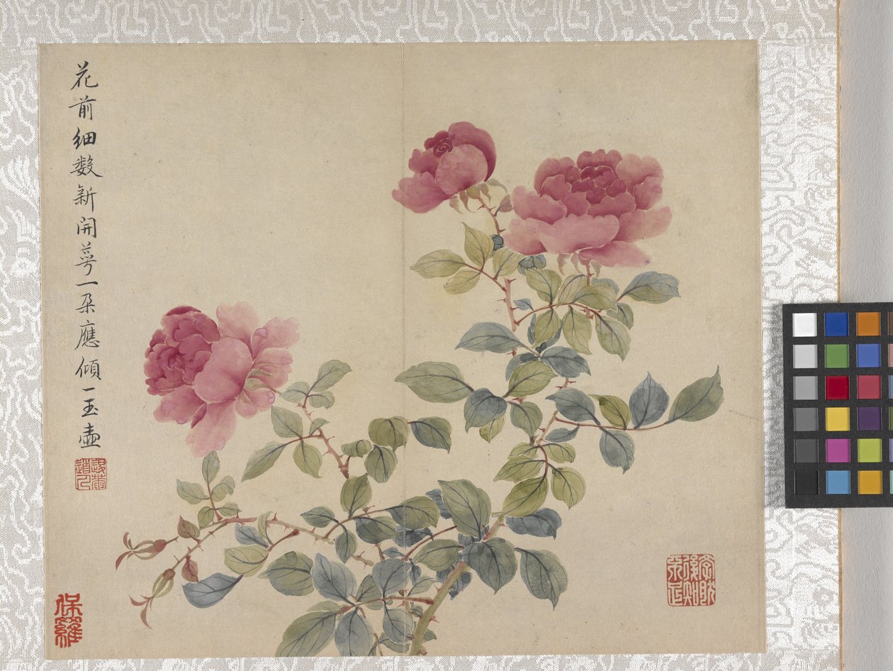 8-lehtinen kukka-albumi, 1700-luvun puoliväli (muste ja väri paperille). tekijältä School Chinese