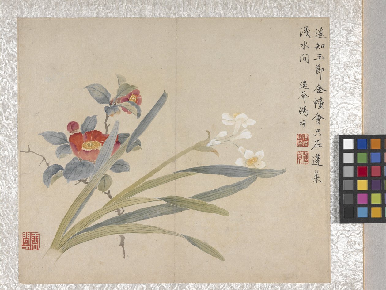 8-lehtinen kukka-albumi, 1700-luvun puoliväli (muste ja väri paperille). tekijältä School Chinese