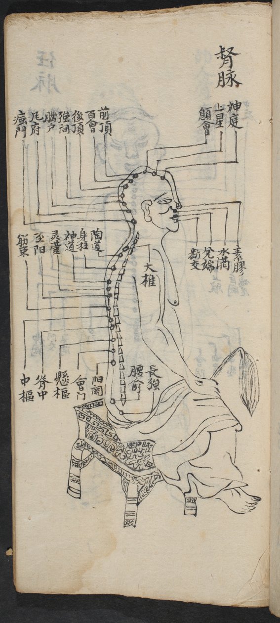 Akupunktiopisteet selkärangan ja pään varrella, Jing Guan Qi Zhi, "Akupunktiopisteiden ja -kanavien alku ja loppu", pub. Etelä-Kiina, 1700-luvun alku (muste paperille) tekijältä School Chinese