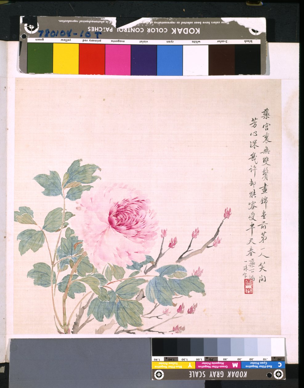 Album Of Flowers And Birds, päivämäärä tuntematon (tussi ja väri silkille). tekijältä School Chinese