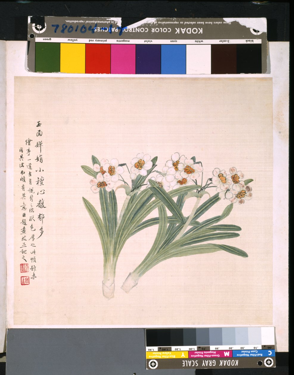 Album Of Flowers And Birds, päivämäärä tuntematon (tussi ja väri silkille). tekijältä School Chinese