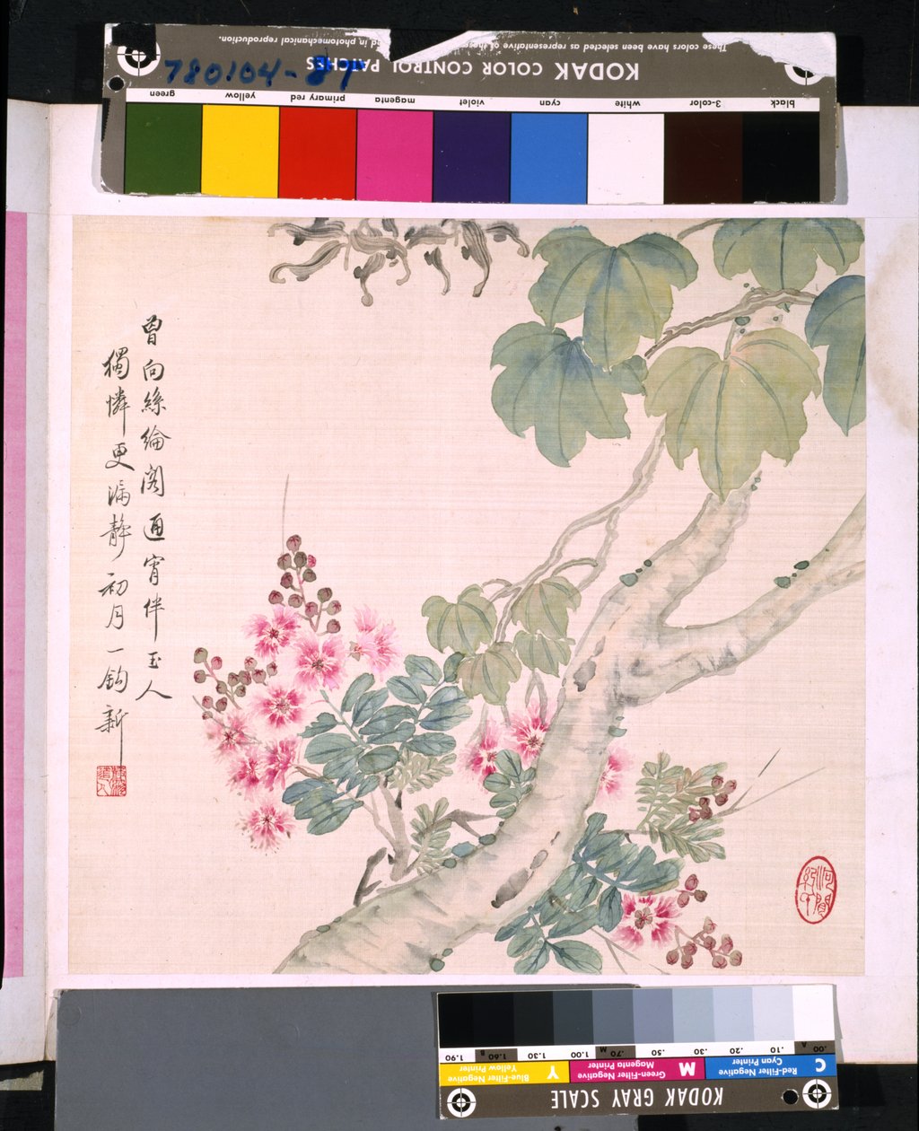 Album Of Flowers And Birds, päivämäärä tuntematon (tussi ja väri silkille). tekijältä School Chinese