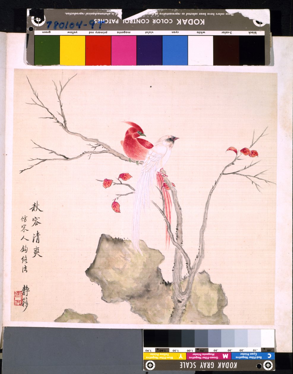 Album Of Flowers And Birds, päivämäärä tuntematon (tussi ja väri silkille). tekijältä School Chinese