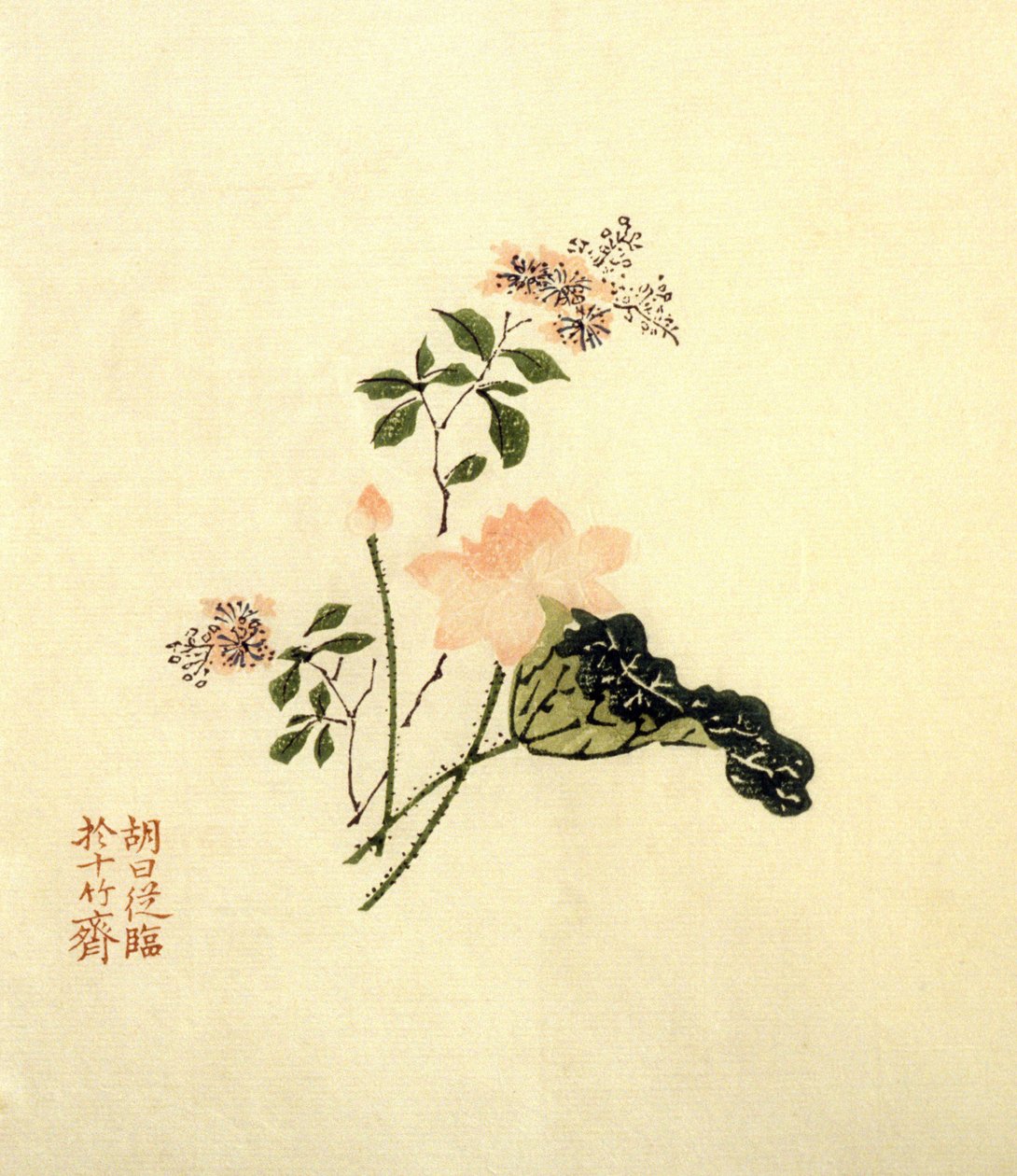 Lotus flower - muste paperille, ChineLotus flower - muste paperille, Kiina tekijältä School Chinese
