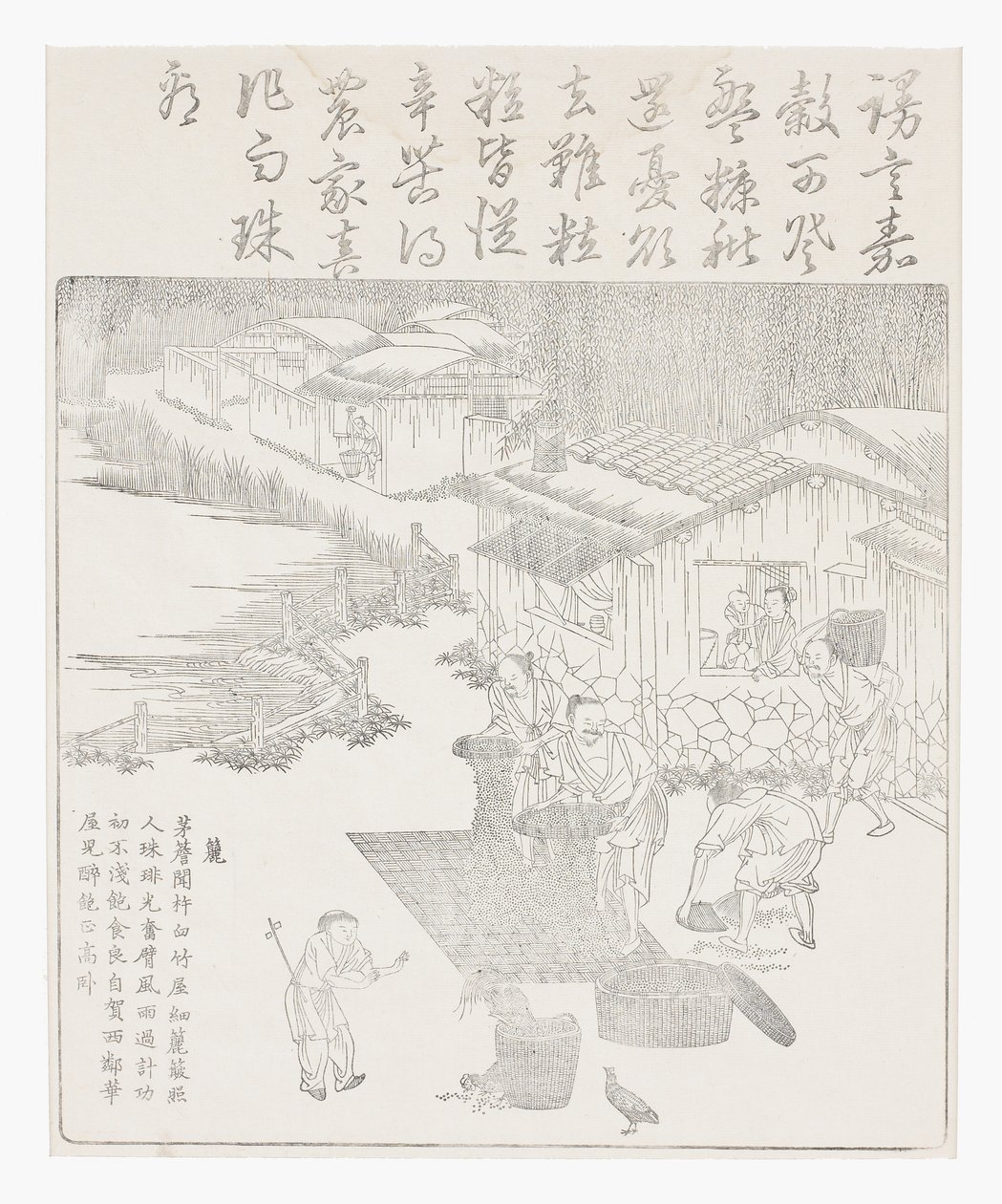 Riisin seulominen tekijältä School Chinese