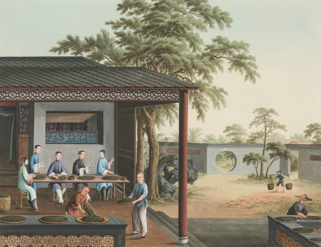 Teetuotanto, n. 1820 (bodycolor ja kultamaali silkille paperille levitettynä). tekijältä School Chinese