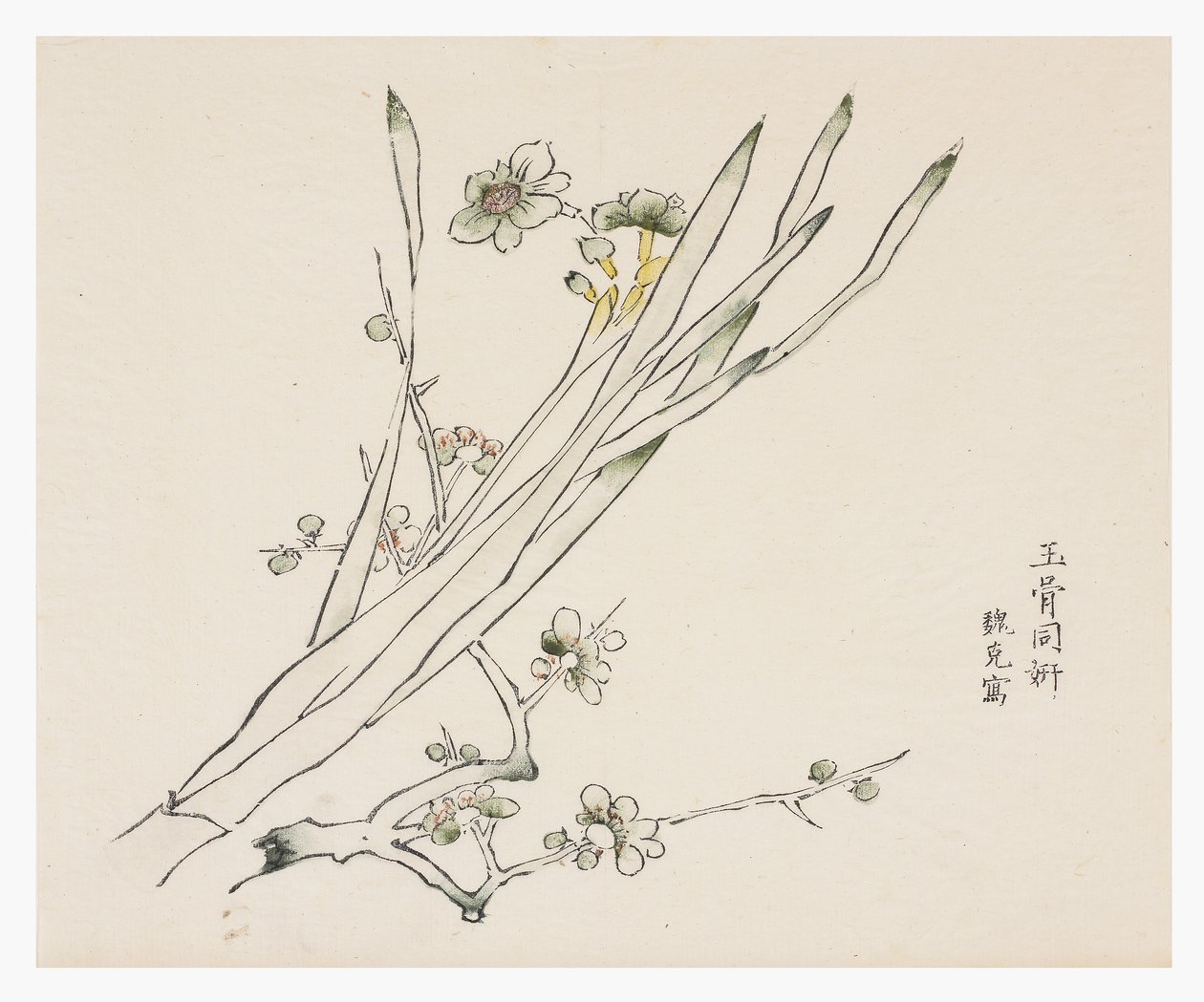 Kymmenen Bamboo-sarja tekijältä School Chinese