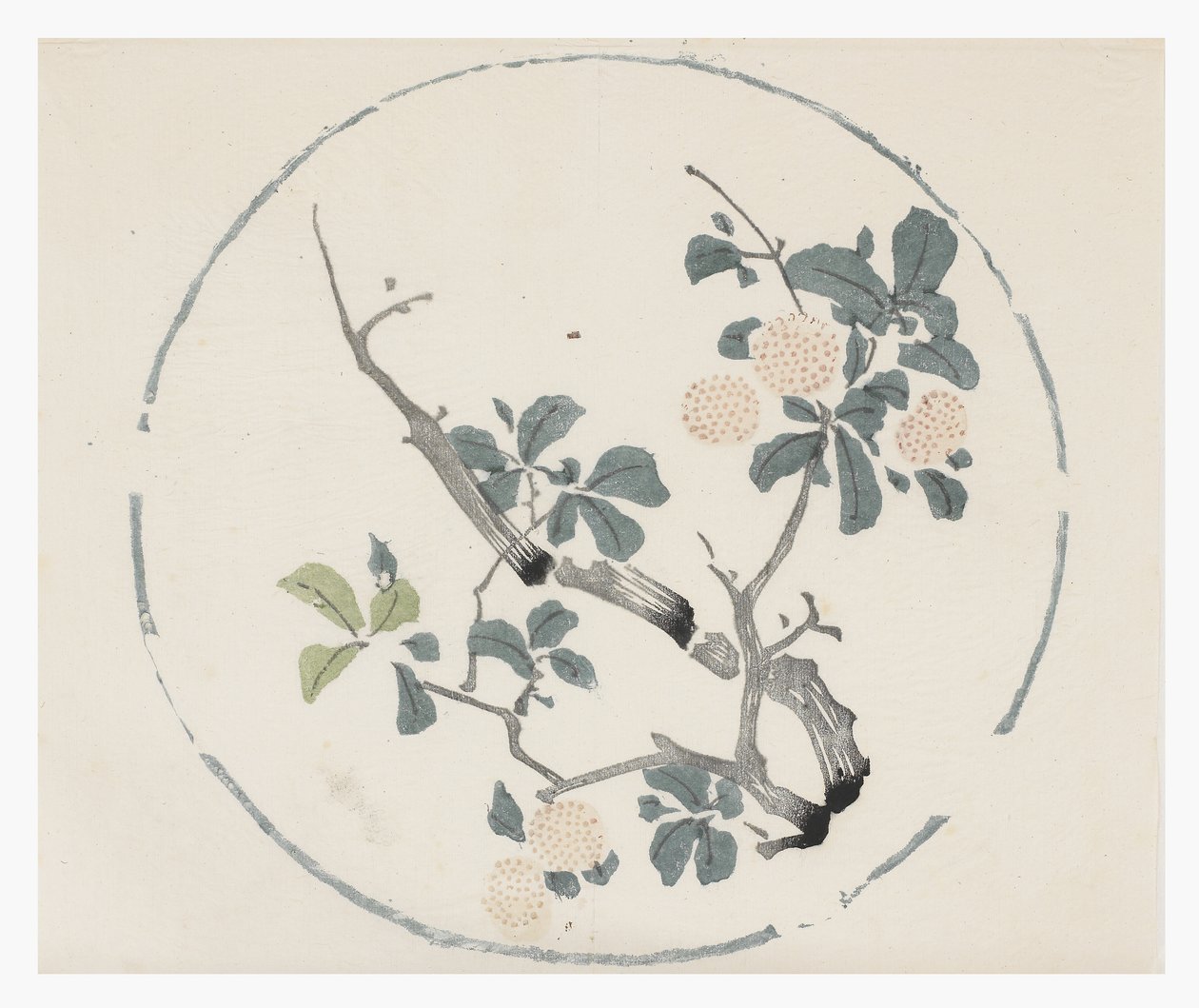 Kymmenen Bamboo-sarja tekijältä School Chinese