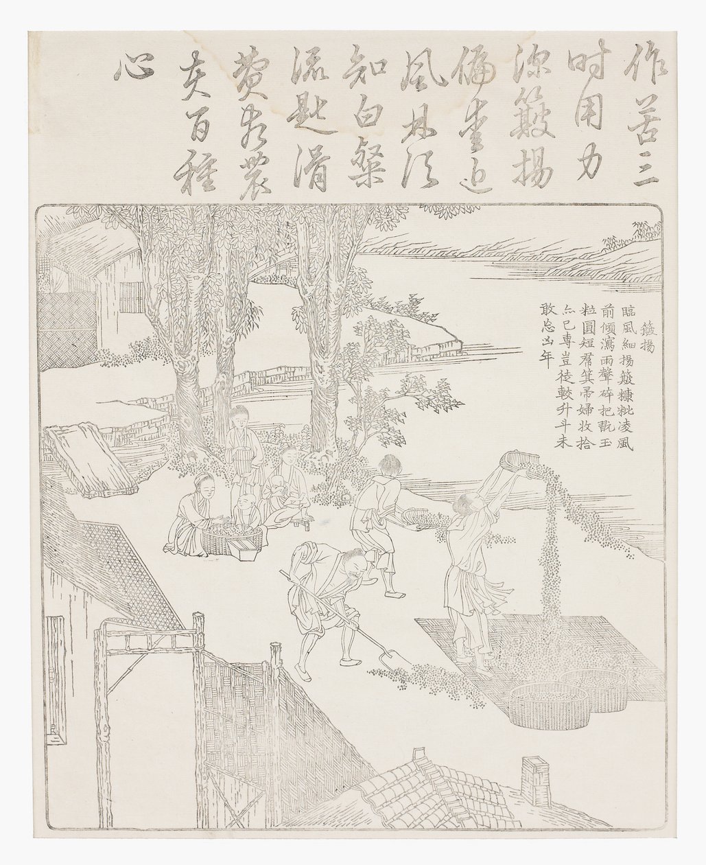 Riisin voittaminen tekijältä School Chinese