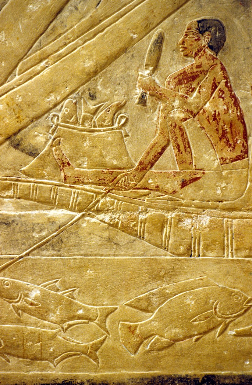 Muinainen Egypti, Mastaba/Tomb of Idout, Saqqara, Kalastajat istuvat veneissä ja suomustavat kaloja (kuva). tekijältä School Egyptian