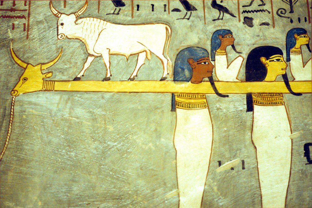 Muinainen Egypti, maalaus, alamaailman jumalat sidottuina Hathoriin, jumalallinen lehmä, aurinkoparakin hinaaminen, Ramses I:n hauta, Thebe tekijältä School Egyptian
