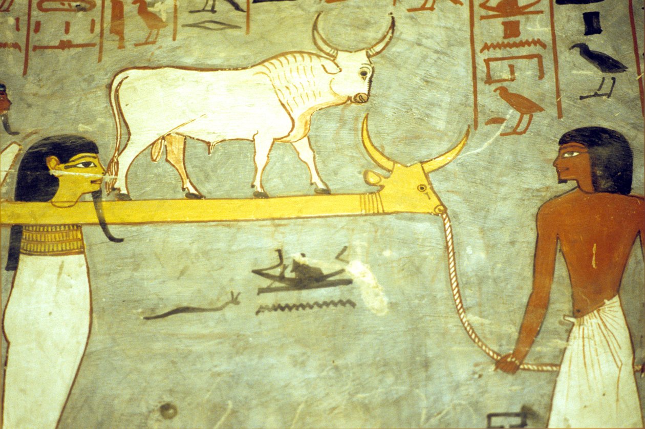 Muinainen Egypti, Maalaus, Ramses I:n hauta, alamaailman jumalat sidottuina Hathoriin, hinaavat aurinkoparkkia. tekijältä School Egyptian