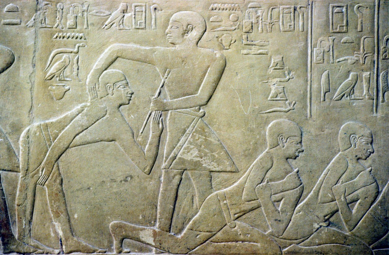 Muinainen Egypti, Helpotus, Kylän vanhimmat pakotettiin myöntämään virheelliset veroilmoituksensa virkailijoille, Merereukan hauta, 6. dyn (kuva) tekijältä School Egyptian