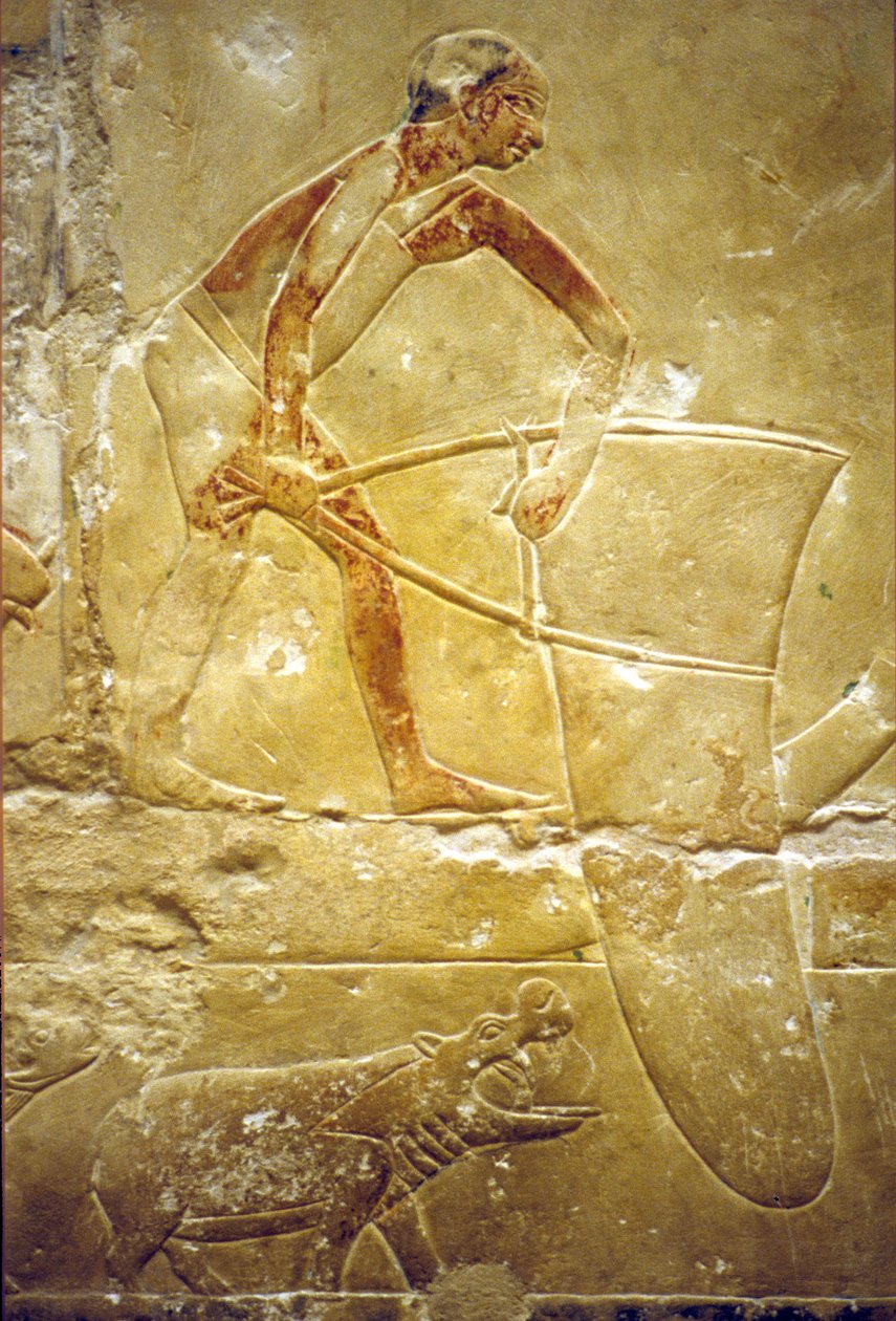 Muinainen Egypti, seinäkaiverrukset/maalaukset, Mastaba/Tomb of Idout, Saqqara, 6. dynastia, Kalastus rysäverkolla, Hippo (kuva) tekijältä School Egyptian