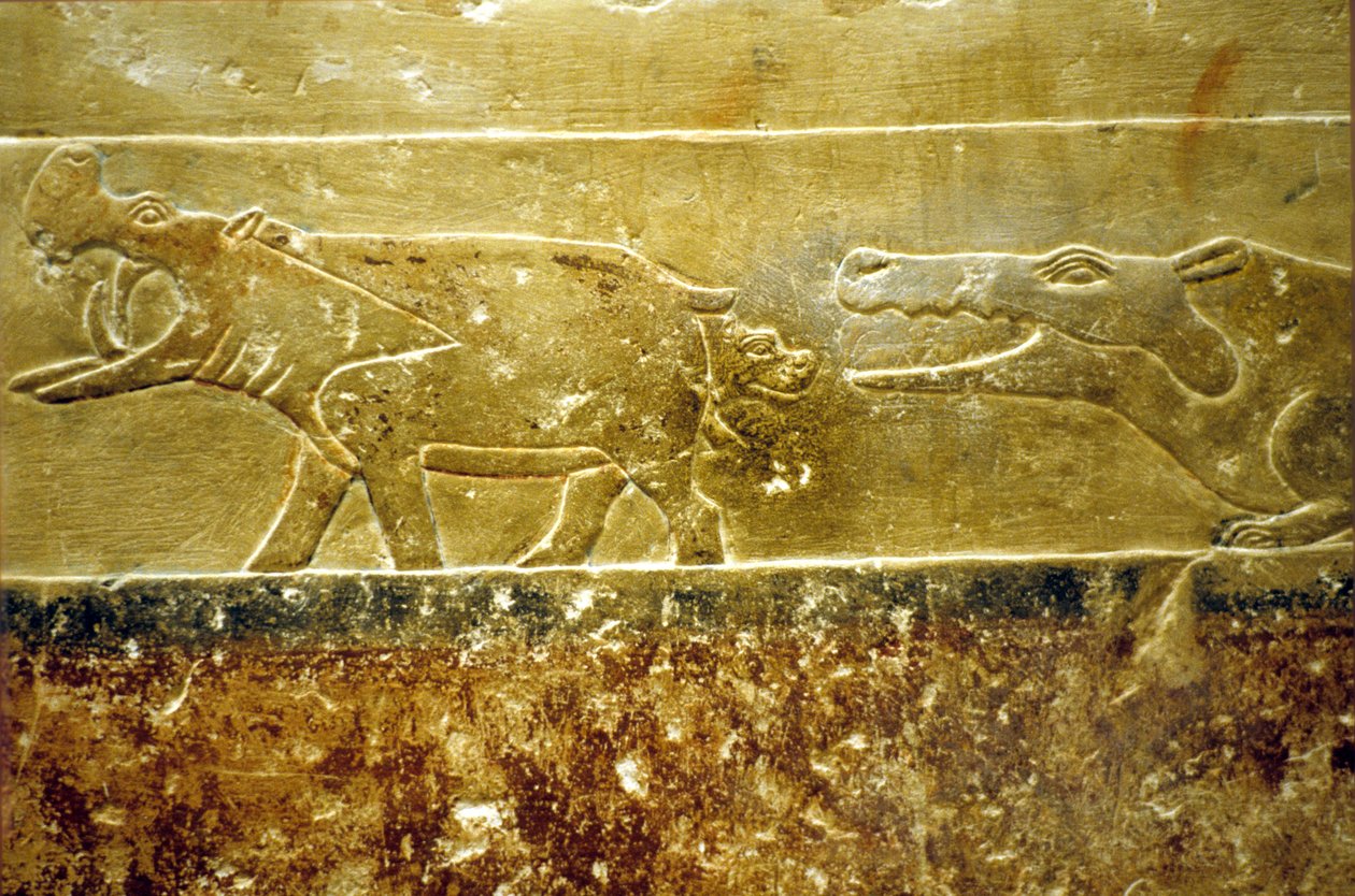 Muinainen Egypti, seinäkaiverrukset/maalaukset, Mastaba/Tomb of Idout, Saqqara, 6. dynastia Hippo synnyttää ja joutuu odottavan krokotiilin saaliiksi (kuva) tekijältä School Egyptian