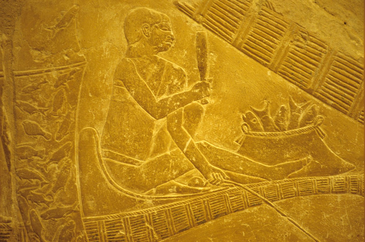 Muinainen Egypti, Seinien kaiverrus/maalaus, Mastaba/Idoutin hauta, Saqqara, Kalastajat istuvat veneissä sukeltamassa kaloja, 6. dynastia (kuva) tekijältä School Egyptian