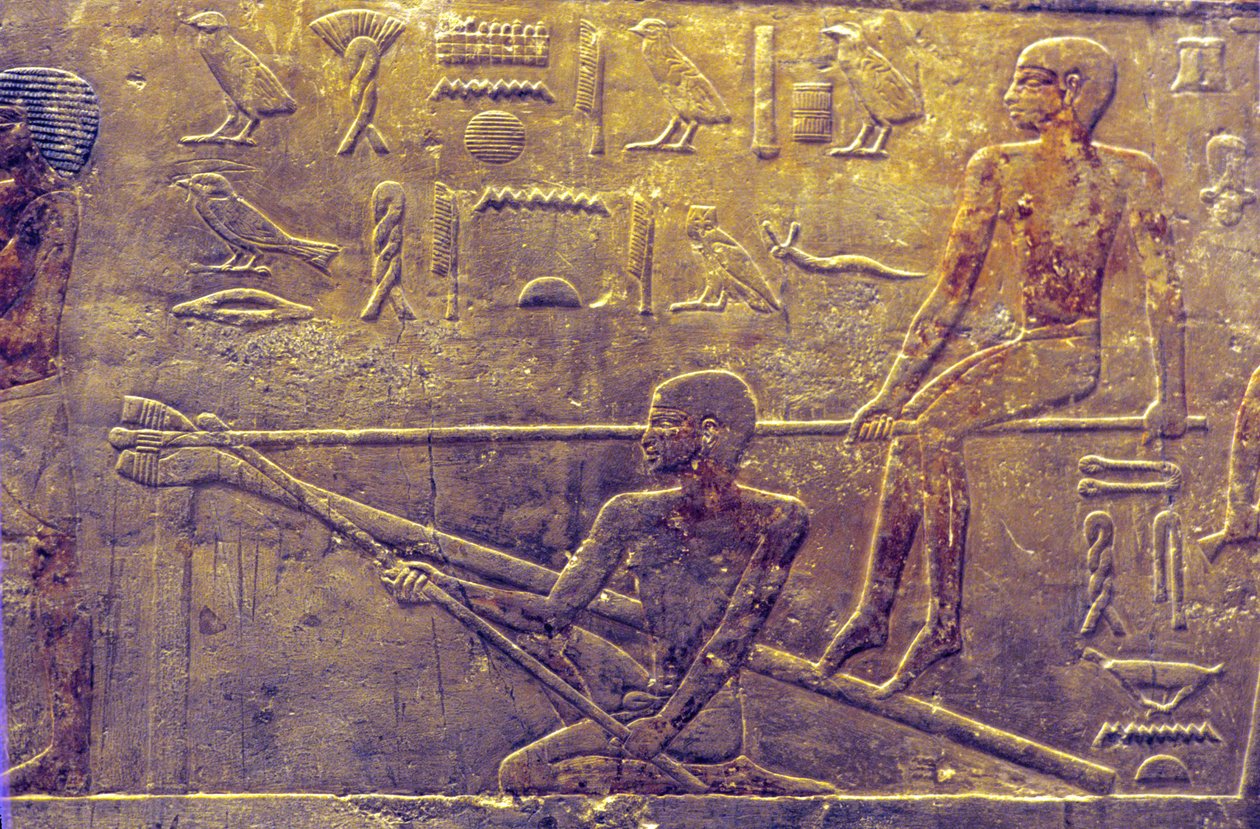 Muinainen Egypti, Mastaba/Ti:n hauta, Saqqara, 5. dynastia, Laivanrakennus, seinäkaiverrukset/maalaukset (valokuva), Muinainen Egypti (kuva) tekijältä School Egyptian