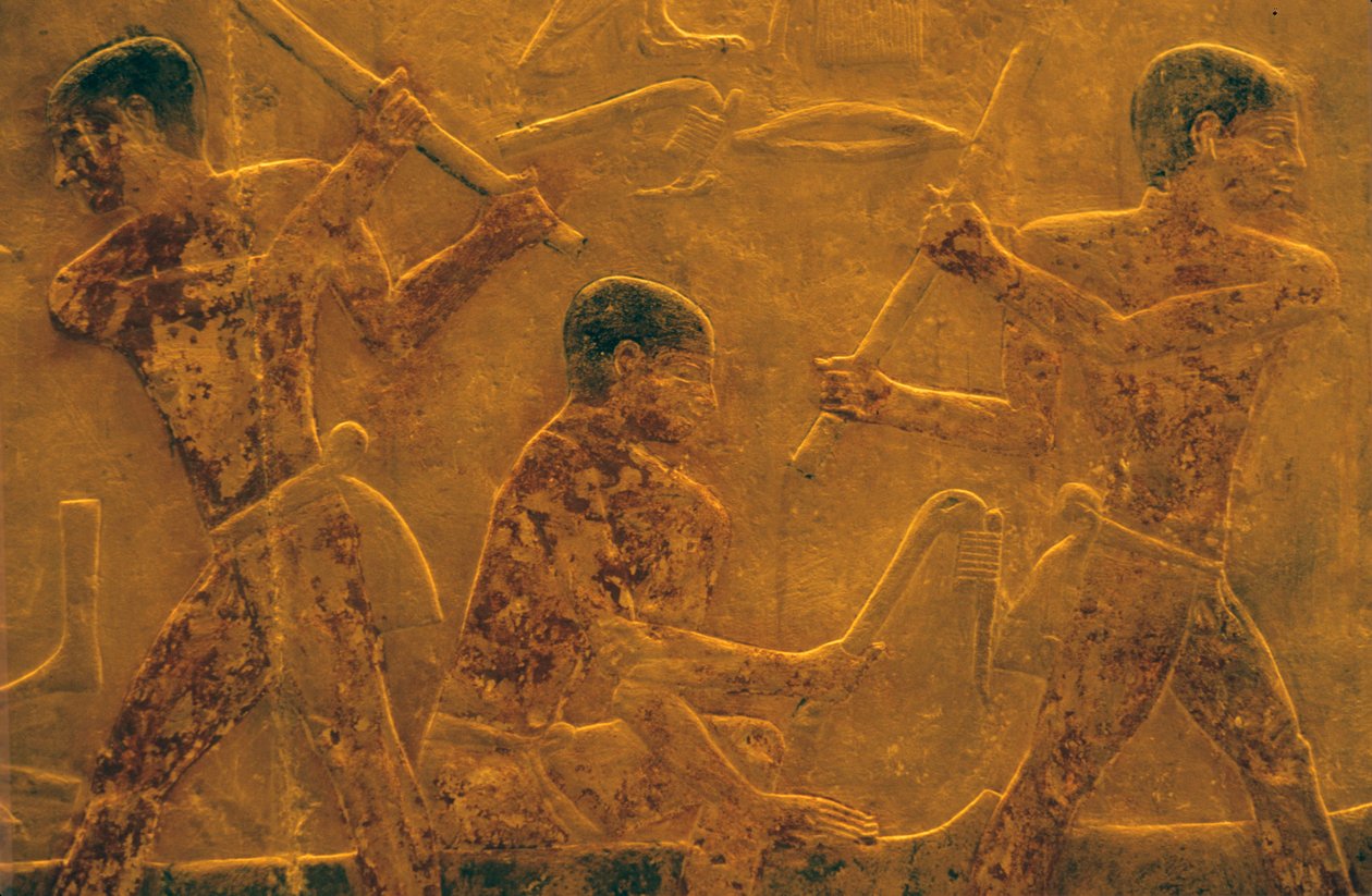 Muinainen Egypti, Mastaba/Ti:n hauta, Saqqara, 5. dynastia, Laivanrakennus, seinäkaiverrukset/maalaukset (valokuva), Muinainen Egypti (kuva) tekijältä School Egyptian