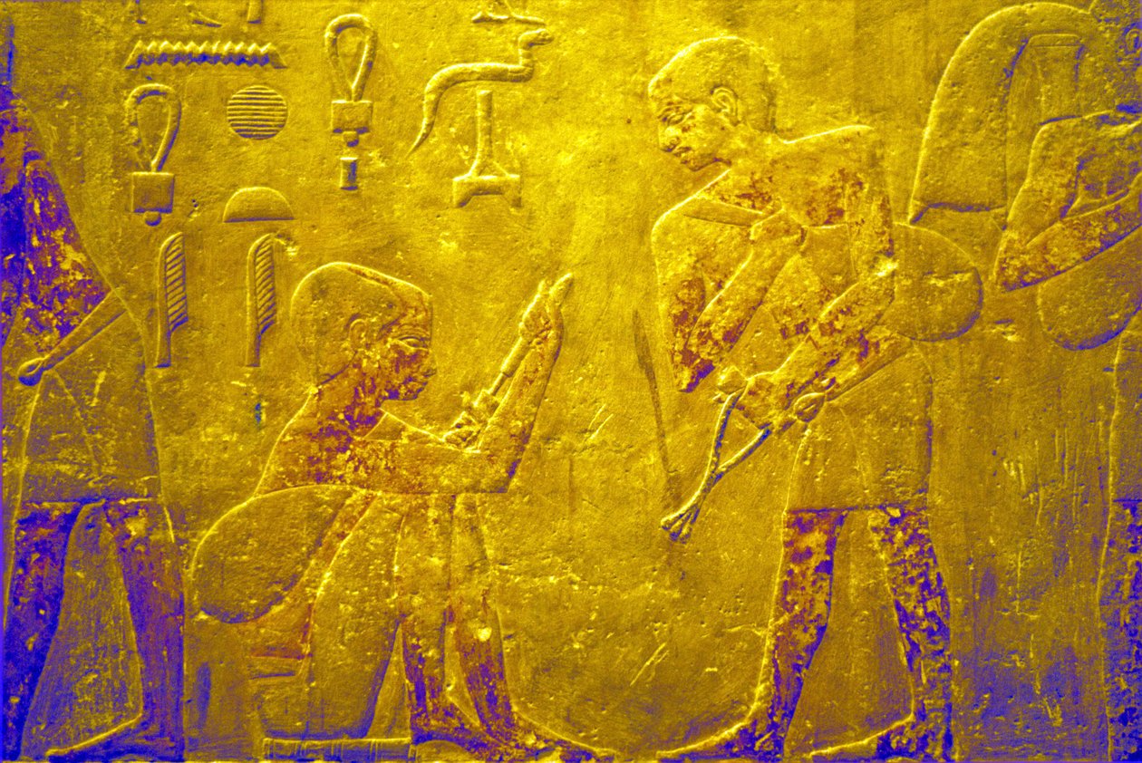 Muinainen Egypti, Seinien kaiverrus/maalaus, Mastaba/Ti-hauta, Saqqara, 5. dynastia, Tavaroiden kauppa torilla (kuva) tekijältä School Egyptian
