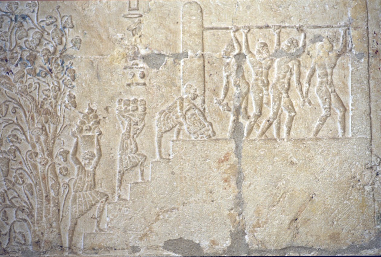 Muinainen Egypti, Seinien kaiverrus/maalaus, Petosiriksen hauta, Tuna el Gebel, 300 eKr., Viininkorjuu, Viinin valmistus, Viinipuristin (kuva) tekijältä School Egyptian