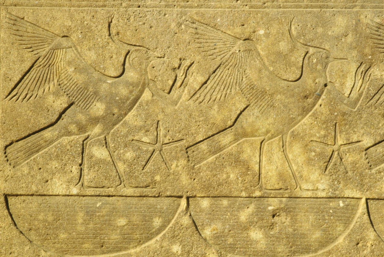 Muinainen Egypti, seinämaalaus/veistos, Lapintien, Egyptin eri heimoja esittävät, Karnakin temppeli, Luxor (kuva) tekijältä School Egyptian