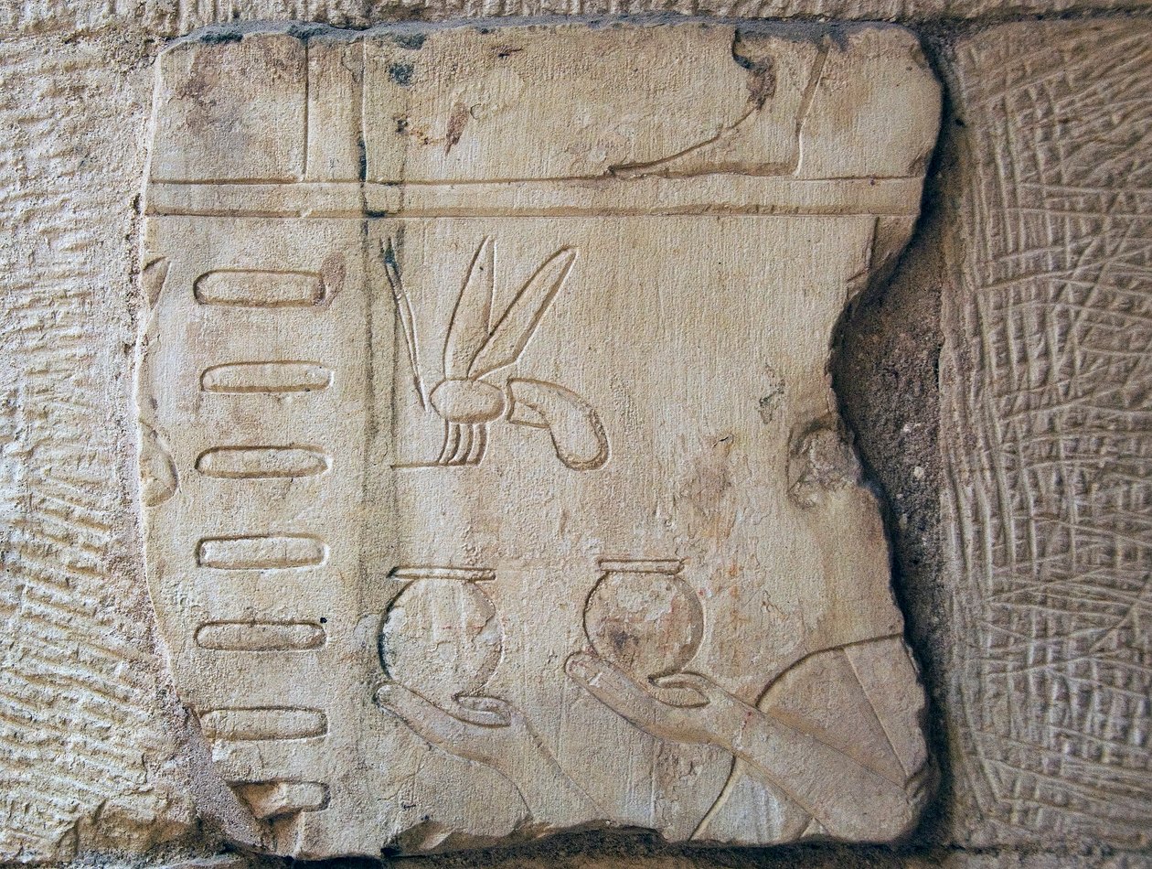Yksityiskohta kohokuviosta, Luxor (kivi) tekijältä School Egyptian