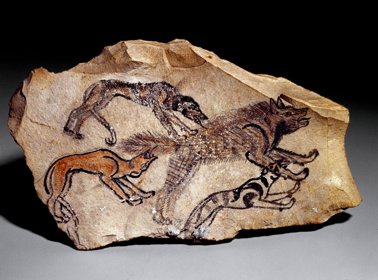 Koirat metsästävät hyeenaa (kivikaiverrus, n. 1300-1100 eKr.) tekijältä School Egyptian
